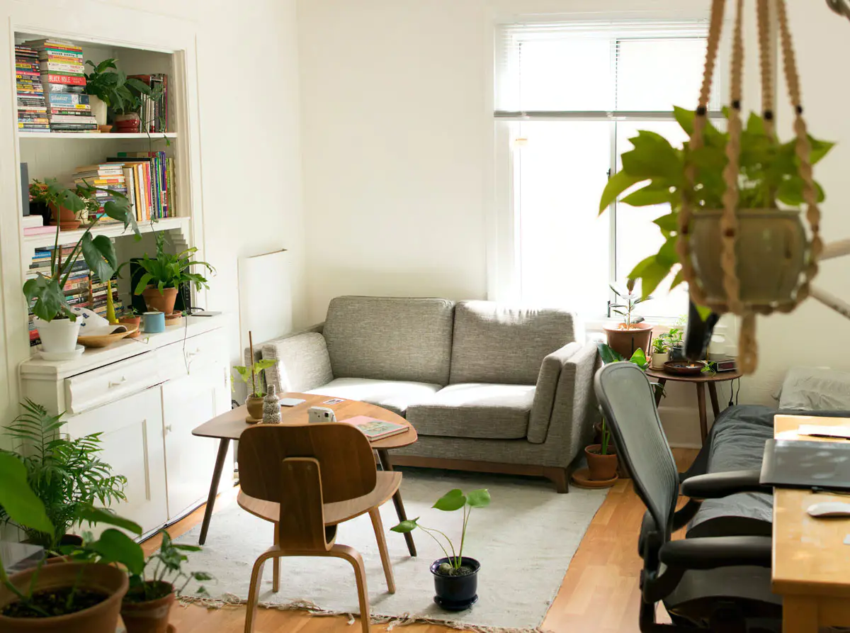 Living room with sofa, plants, and table